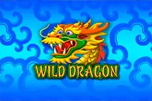 Wild Dragon